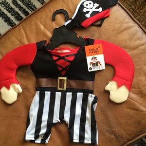 Dog Pirate Costume $10 NWT, Size S